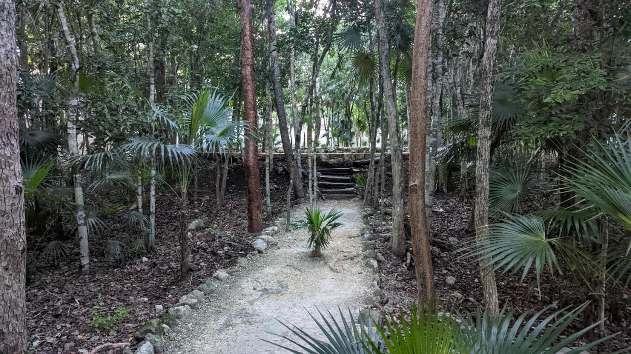 Ferienwohnung Exclusive Penthouse By Famous Interior Designer By Yeah Tulum Exterior foto